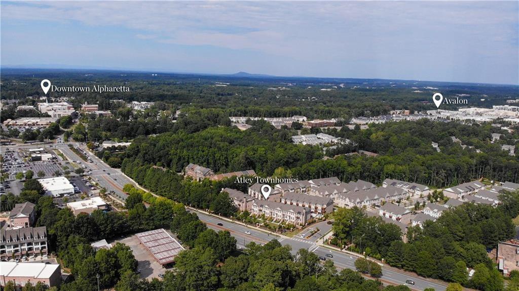 306 Atley Place, Alpharetta, Georgia image 34