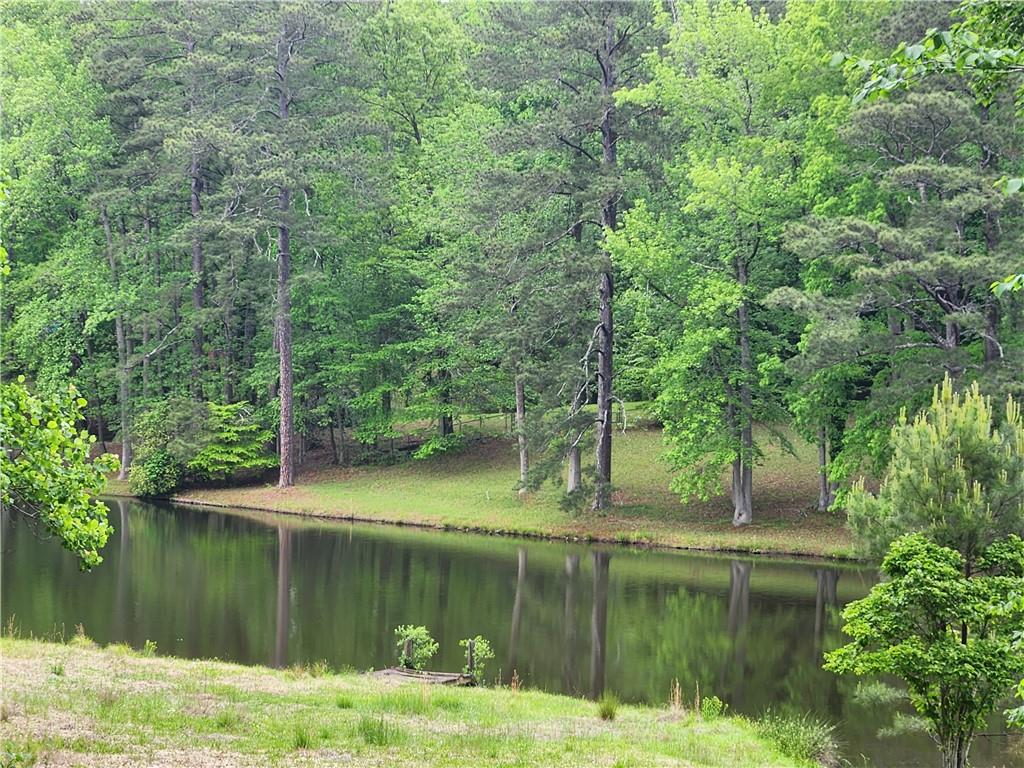 1435 Loch Lomond Trail, Atlanta, Georgia image 3