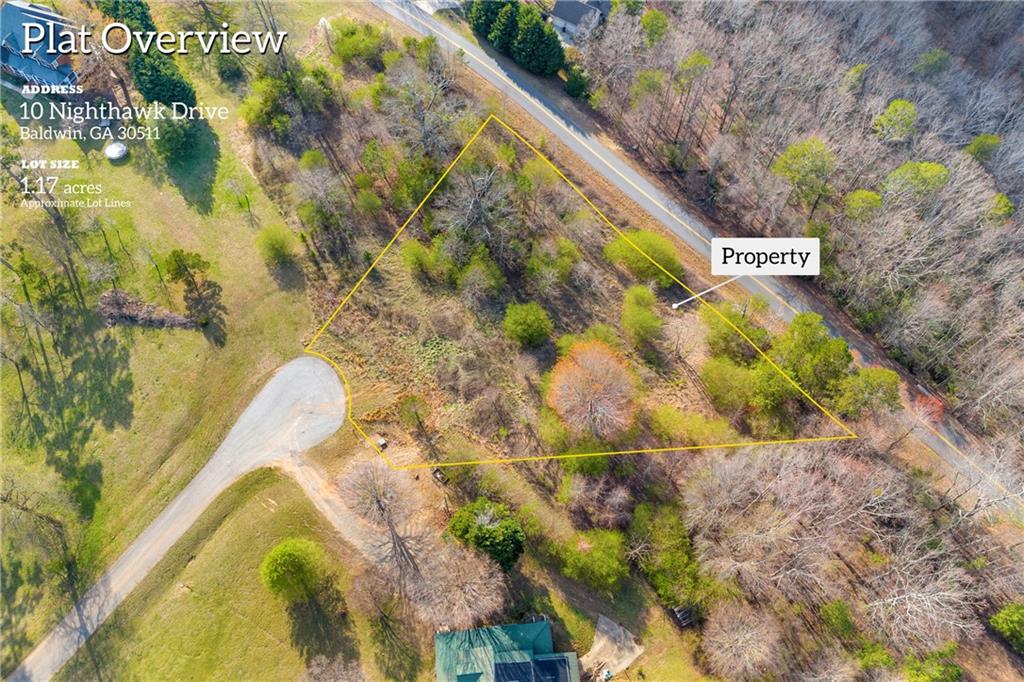 10 Night Hawk Drive, Alto, Georgia image 9