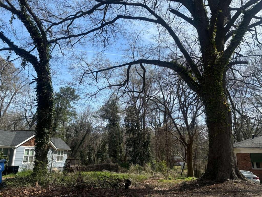 419 Lanier St, Atlanta, Georgia image 1
