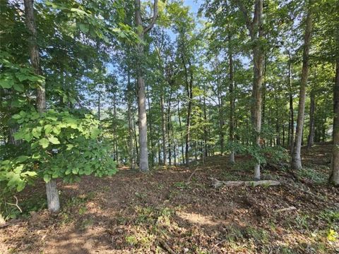 237 Southern Trace Toccoa GA 30577
