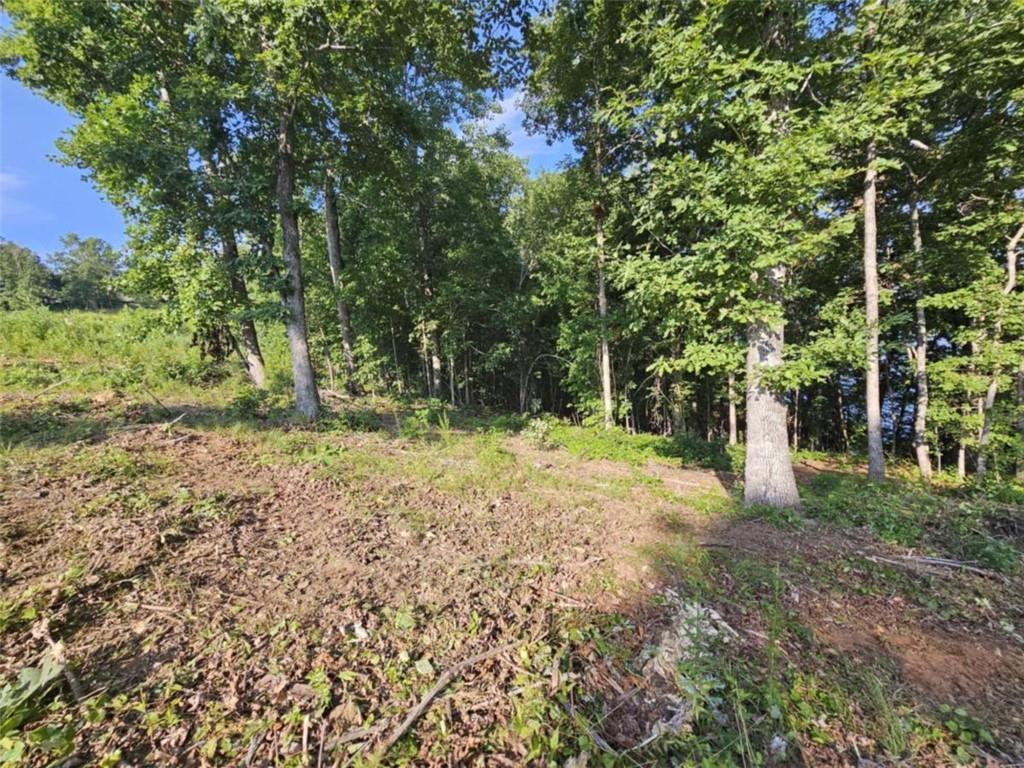 237 Southern Trace