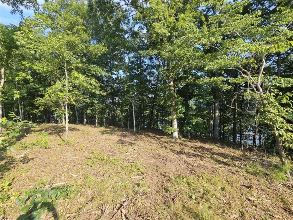 237 Southern Trace