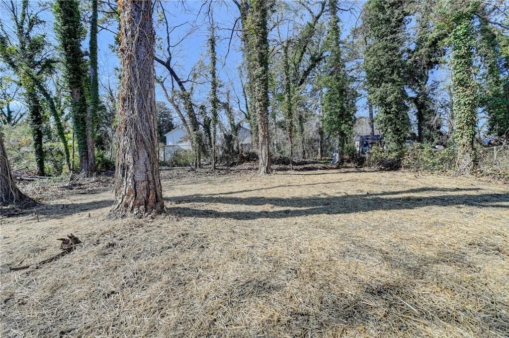listing image 56