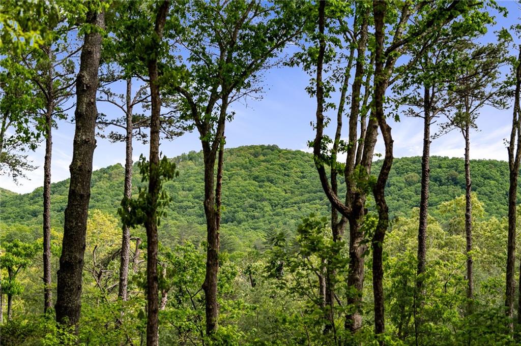 245 Old Anderson Creek