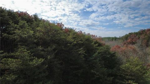 Vacant Land For Sale - TRACT 30 Deerfield Estates<br/> Fairmount, GA 30139