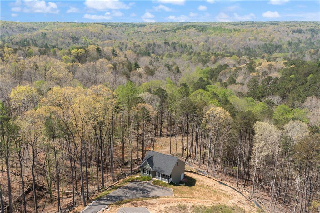 230 Grand Oak Lane, Dahlonega, Georgia image 41