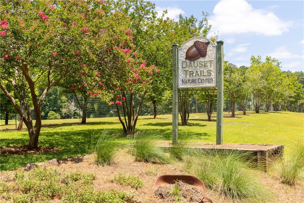 509 Altamaha Court, Locust Grove, Georgia image 28