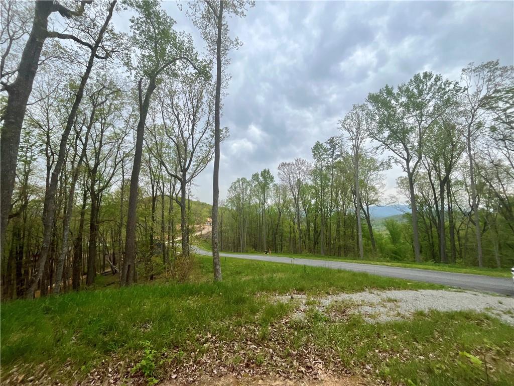 High Summit Drive, Talking Rock, Georgia image 1