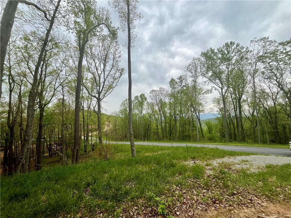 High Summit Drive, Talking Rock, Georgia image 7