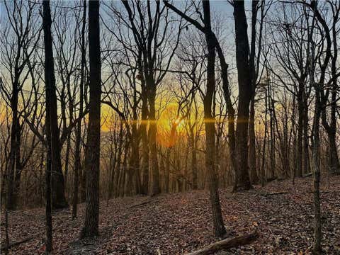 Vacant Land For Sale - LOT 1 Mount Mincie Road<br/> Lumpkin County, Murrayville, GA 30564