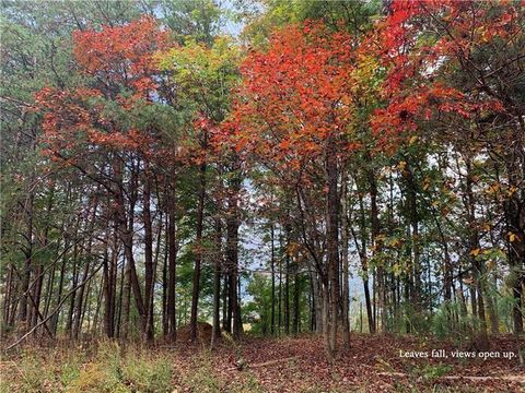 Vacant Land For Sale - 1088 Mayfield Lane<br/> Ranger, GA 30734