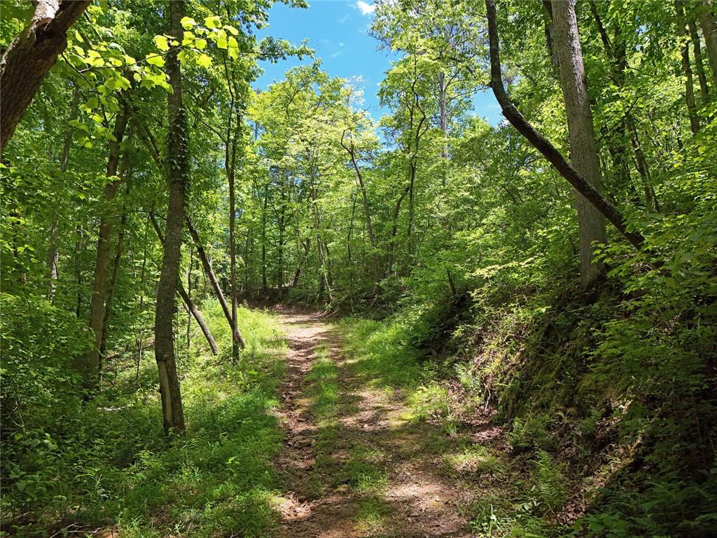 2 Carver Mill Road, Talking Rock, Georgia image 30