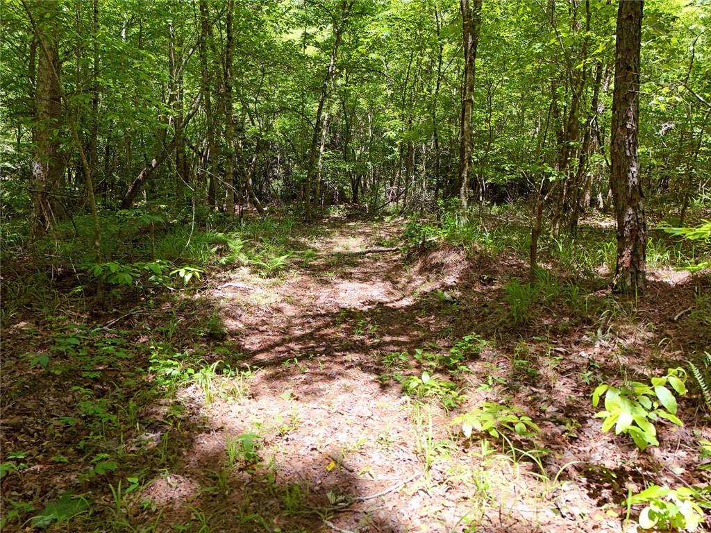 2 Carver Mill Road, Talking Rock, Georgia image 25