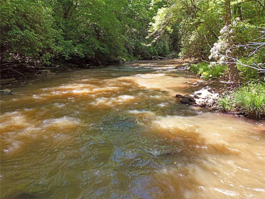 2 Carver Mill Road, Talking Rock, Georgia image 43