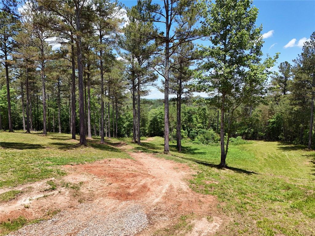 2 Carver Mill Road, Talking Rock, Georgia image 26