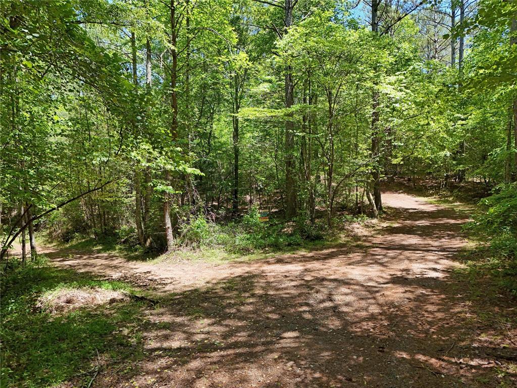 2 Carver Mill Road, Talking Rock, Georgia image 12