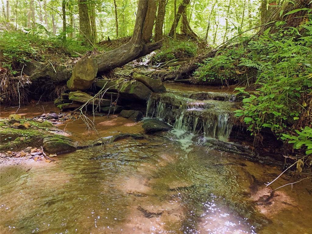 2 Carver Mill Road, Talking Rock, Georgia image 34