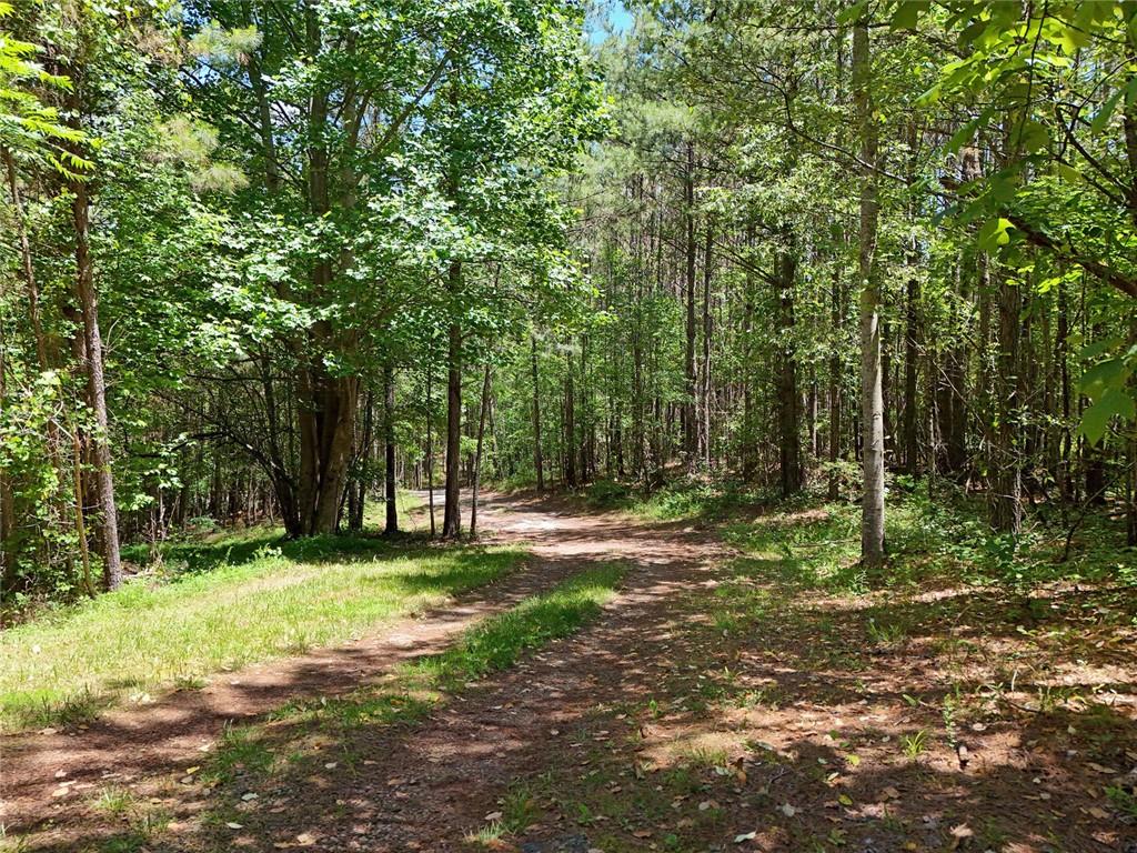 2 Carver Mill Road, Talking Rock, Georgia image 8