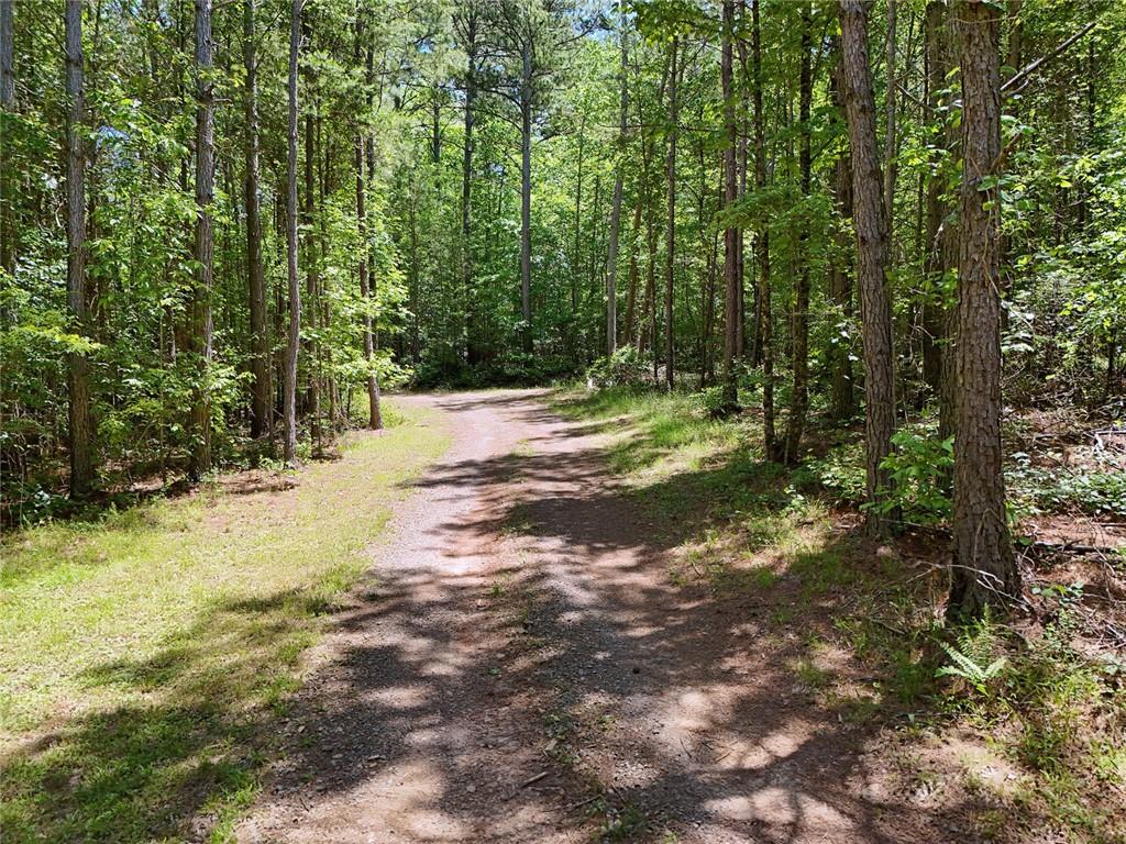 2 Carver Mill Road, Talking Rock, Georgia image 11