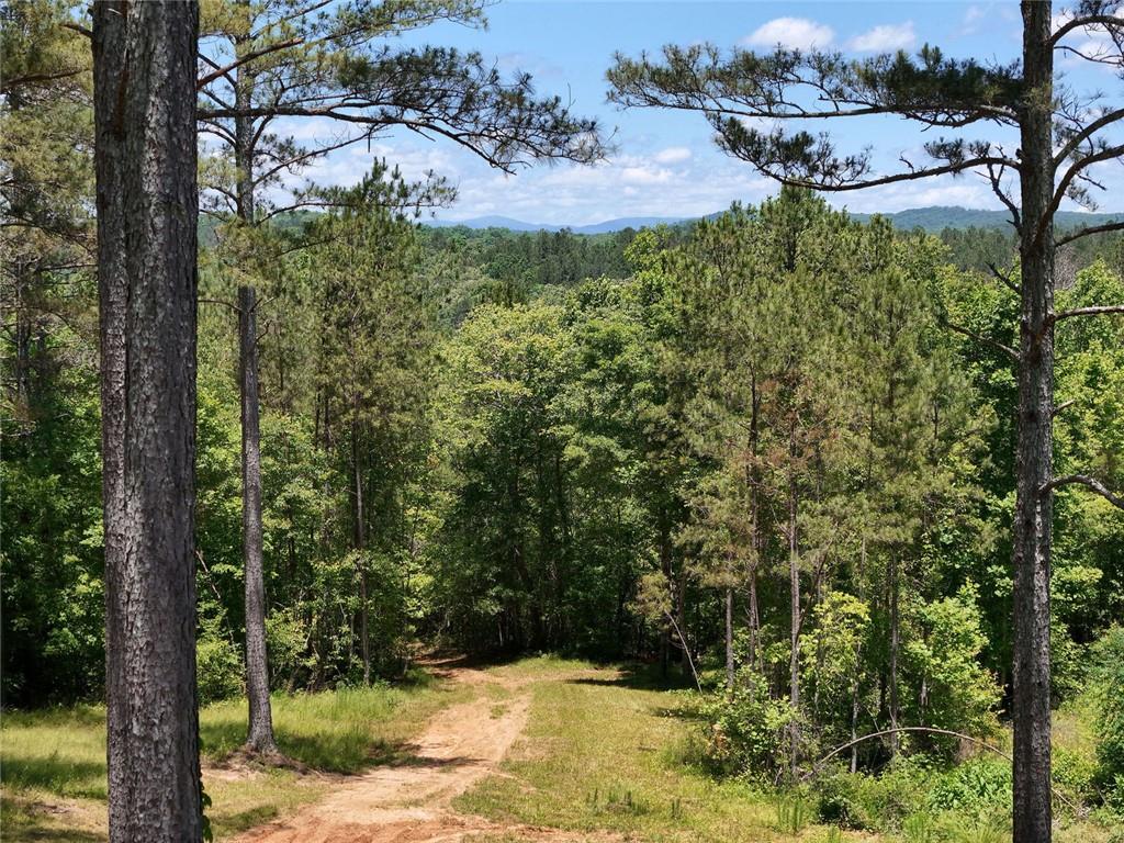 2 Carver Mill Road, Talking Rock, Georgia image 48