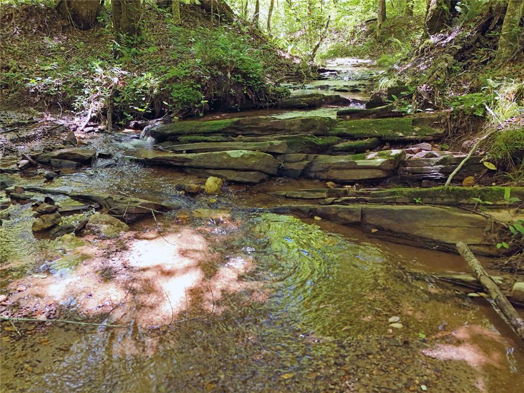 2 Carver Mill Road, Talking Rock, Georgia image 35