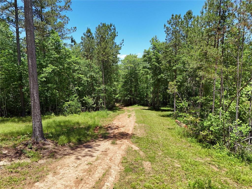 2 Carver Mill Road, Talking Rock, Georgia image 28