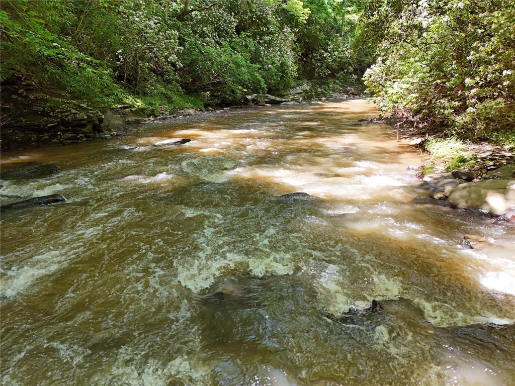 2 Carver Mill Road, Talking Rock, Georgia image 36