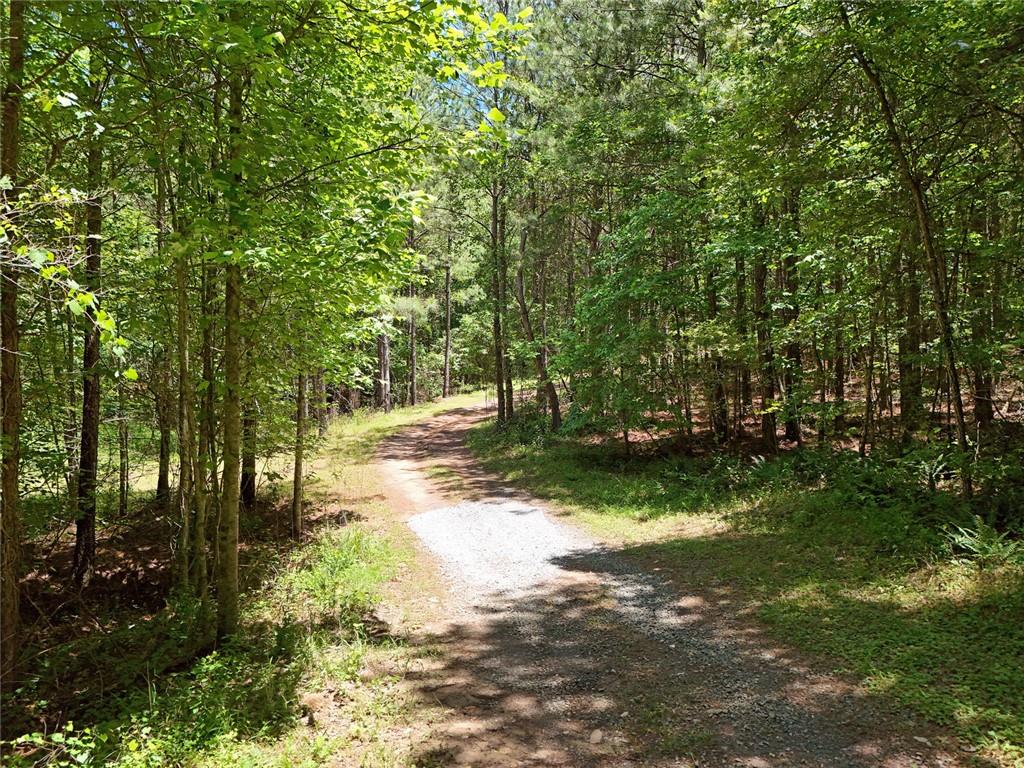 2 Carver Mill Road, Talking Rock, Georgia image 10