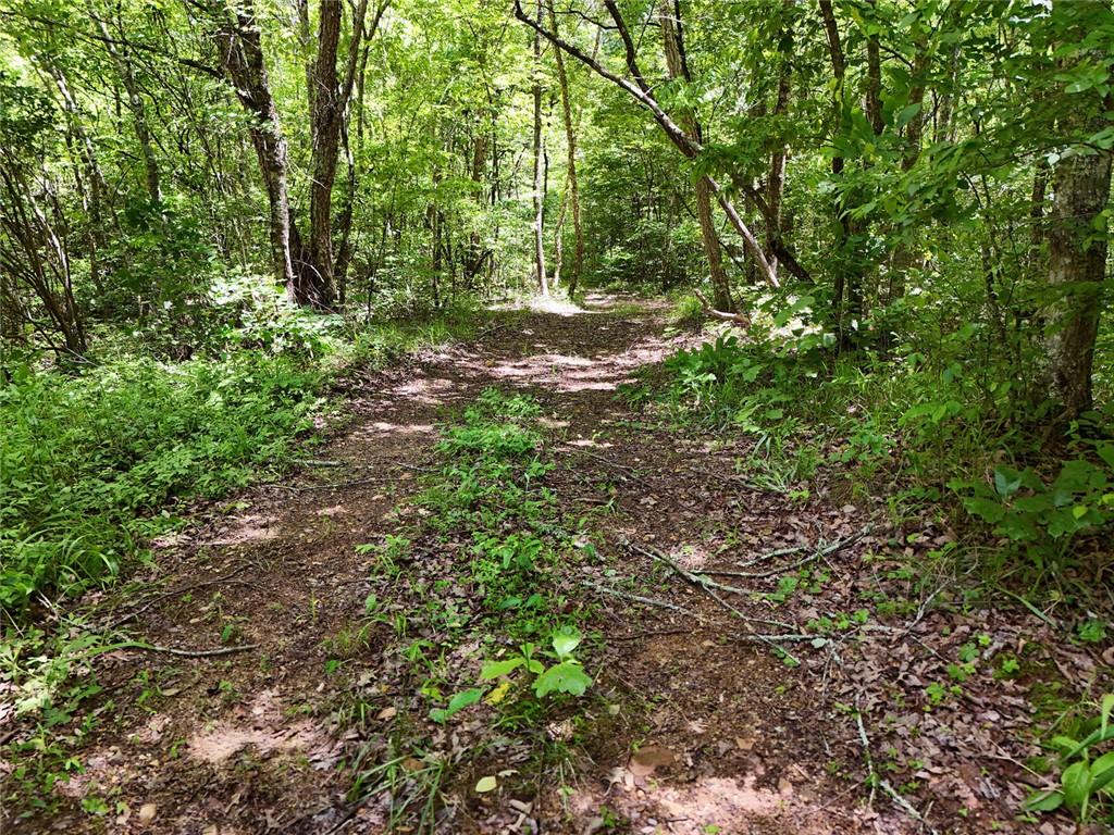 2 Carver Mill Road, Talking Rock, Georgia image 39