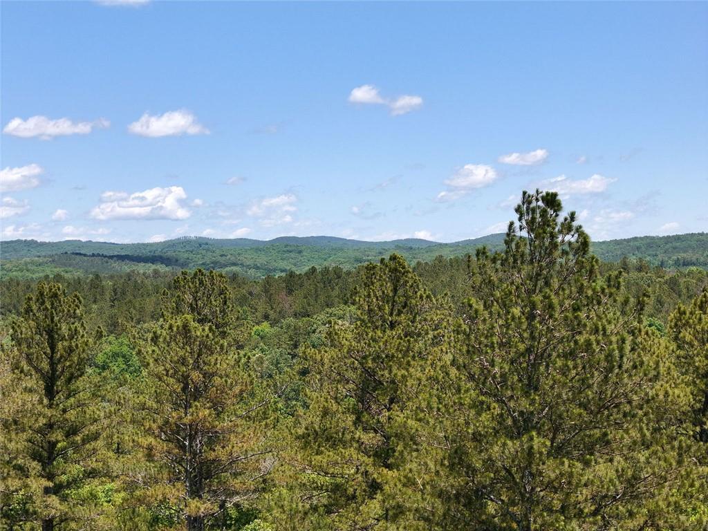 2 Carver Mill Road, Talking Rock, Georgia image 18