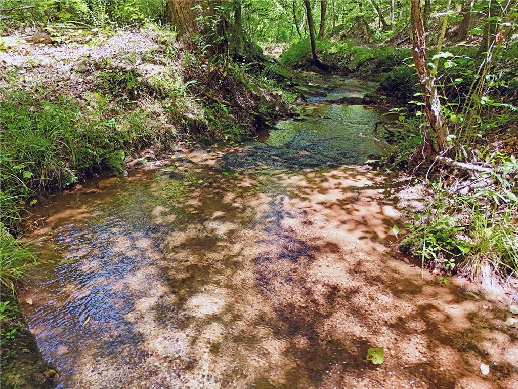 2 Carver Mill Road, Talking Rock, Georgia image 38