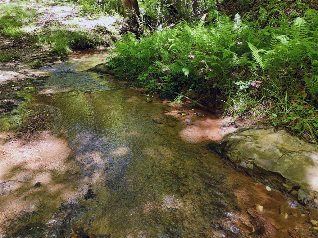 2 Carver Mill Road, Talking Rock, Georgia image 37