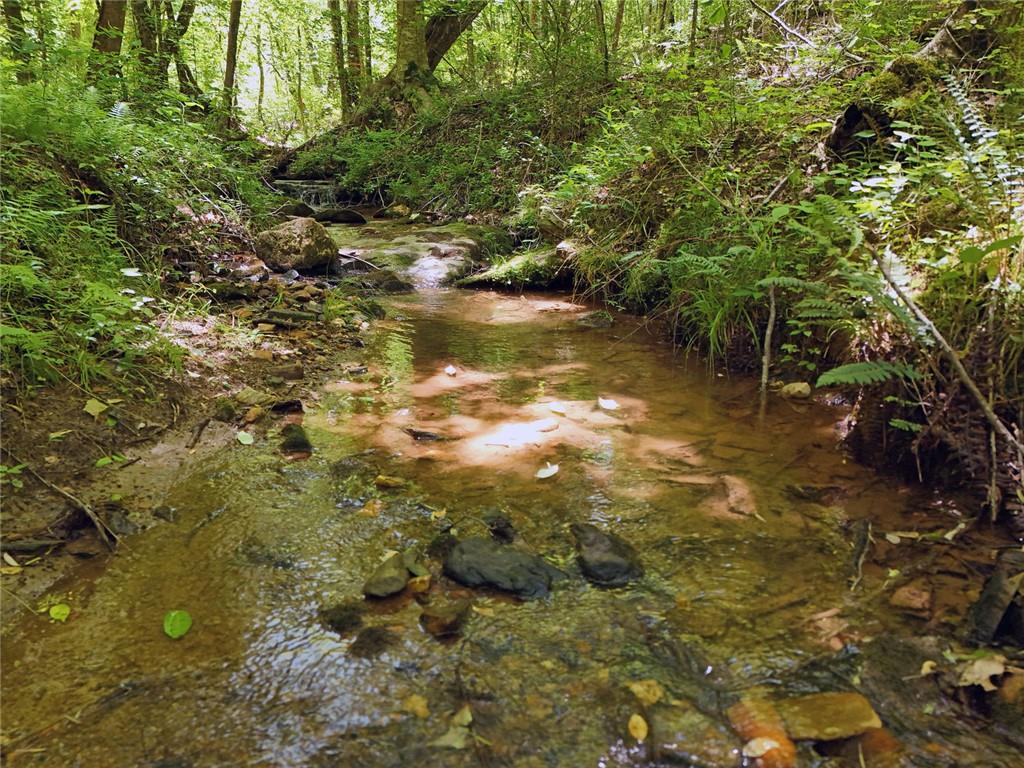 2 Carver Mill Road, Talking Rock, Georgia image 33