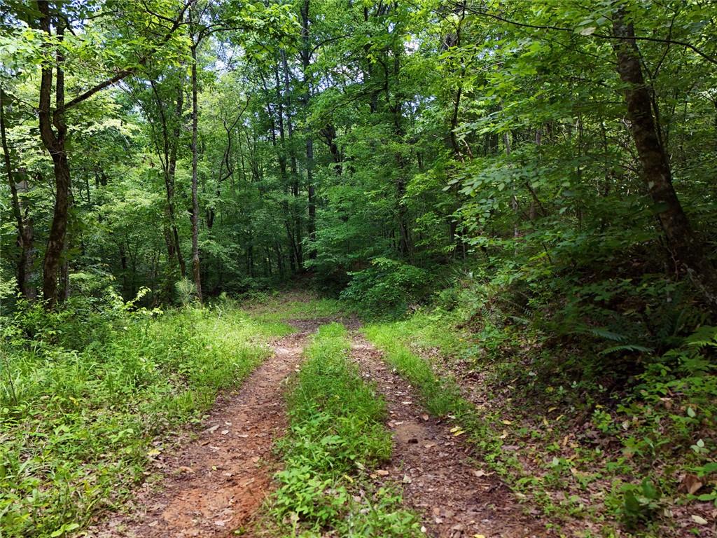 2 Carver Mill Road, Talking Rock, Georgia image 47