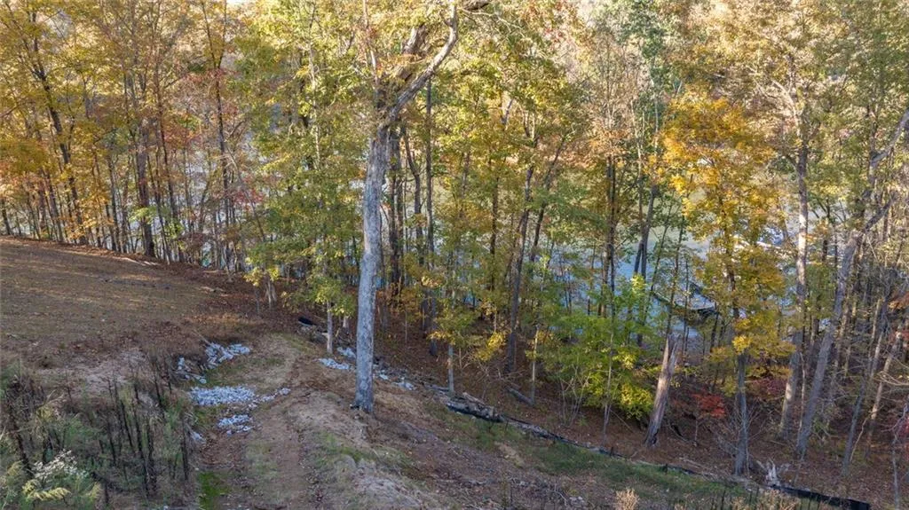 Gainesville, Georgia 30506, United States, ,Land,Active,235822