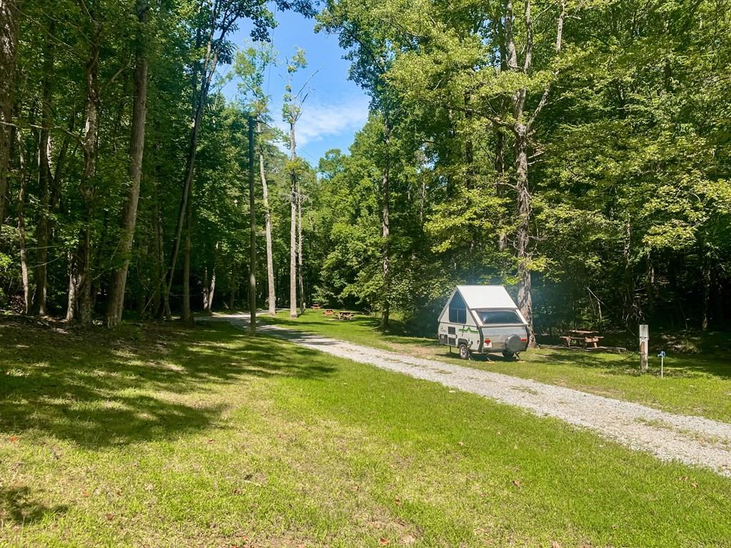 J349 Walnut Mountain, Ellijay, Georgia image 27