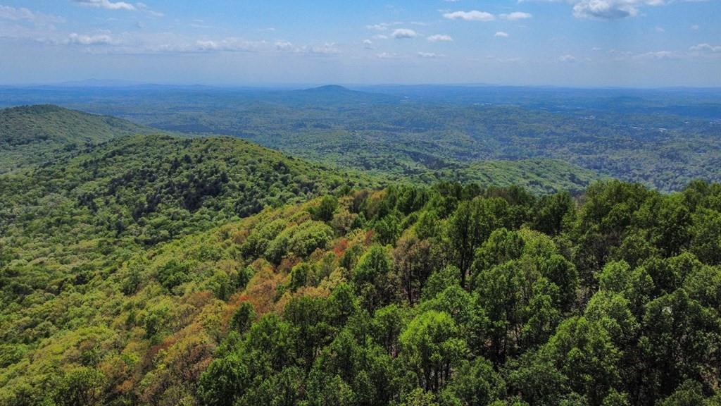 J349 Walnut Mountain, Ellijay, Georgia image 25