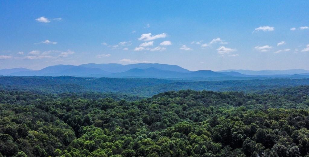 J349 Walnut Mountain, Ellijay, Georgia image 35