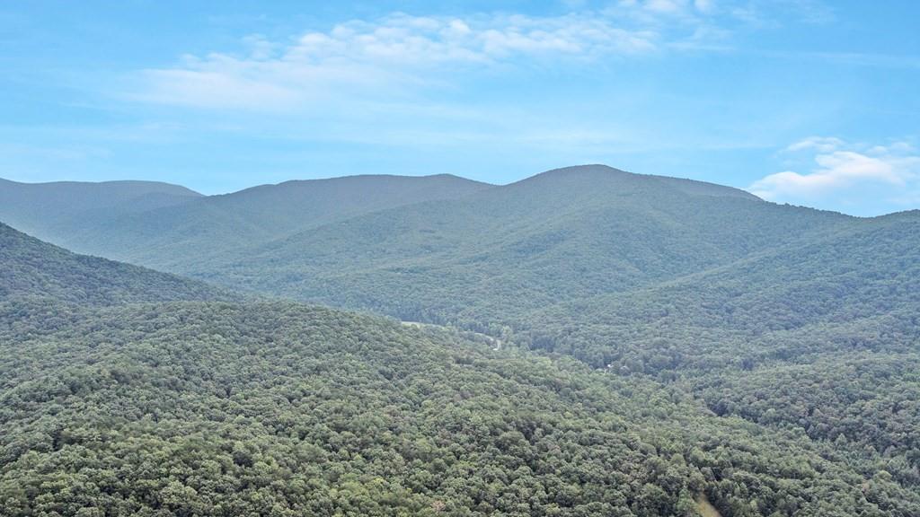 J349 Walnut Mountain, Ellijay, Georgia image 15