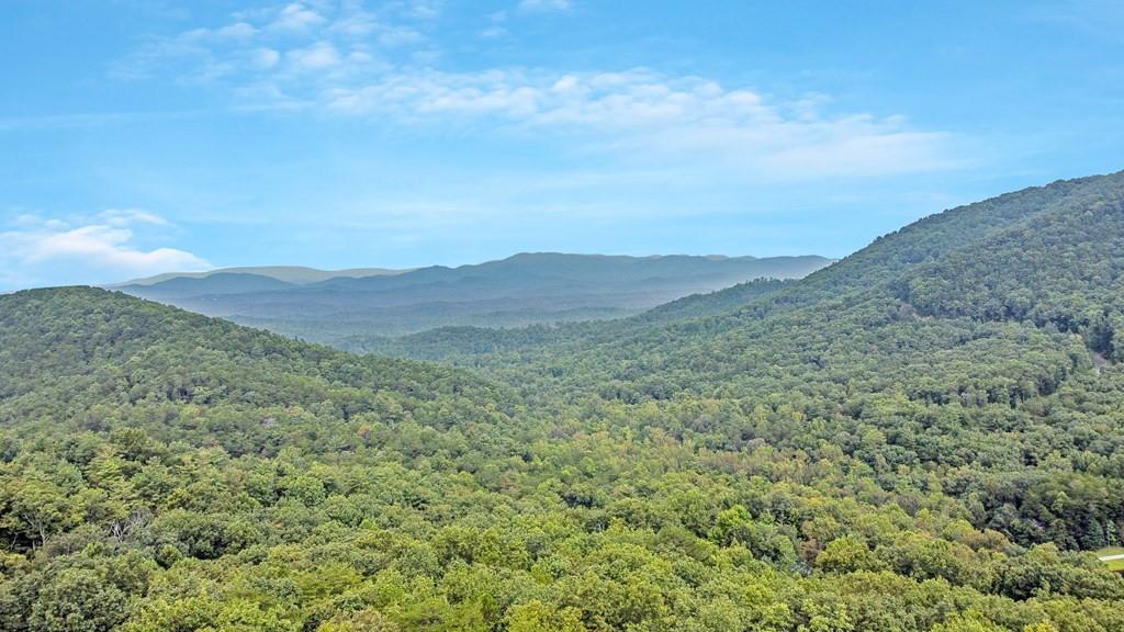 J349 Walnut Mountain, Ellijay, Georgia image 16