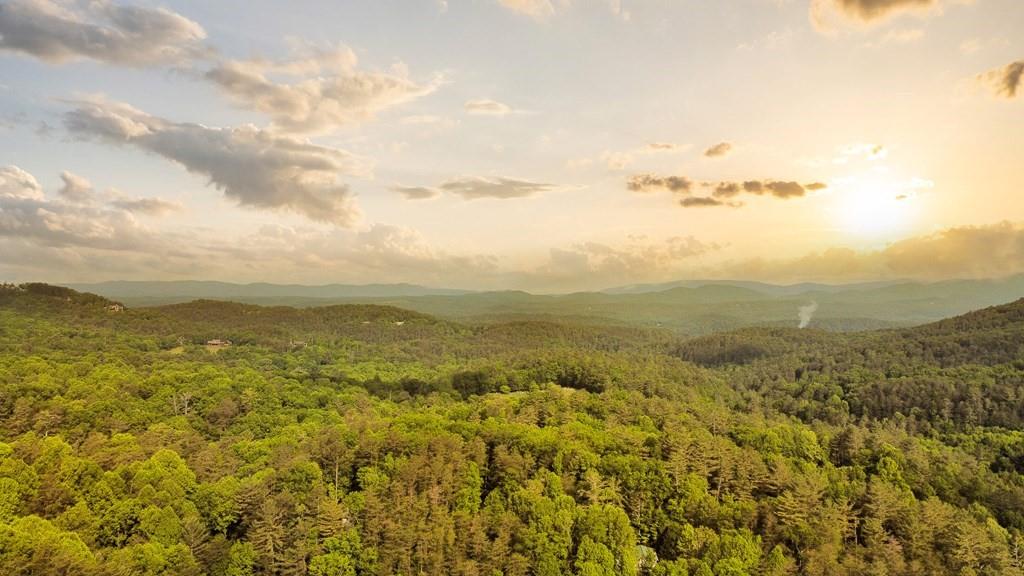 J349 Walnut Mountain, Ellijay, Georgia image 17