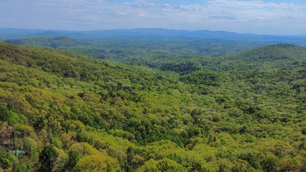 J349 Walnut Mountain, Ellijay, Georgia image 28
