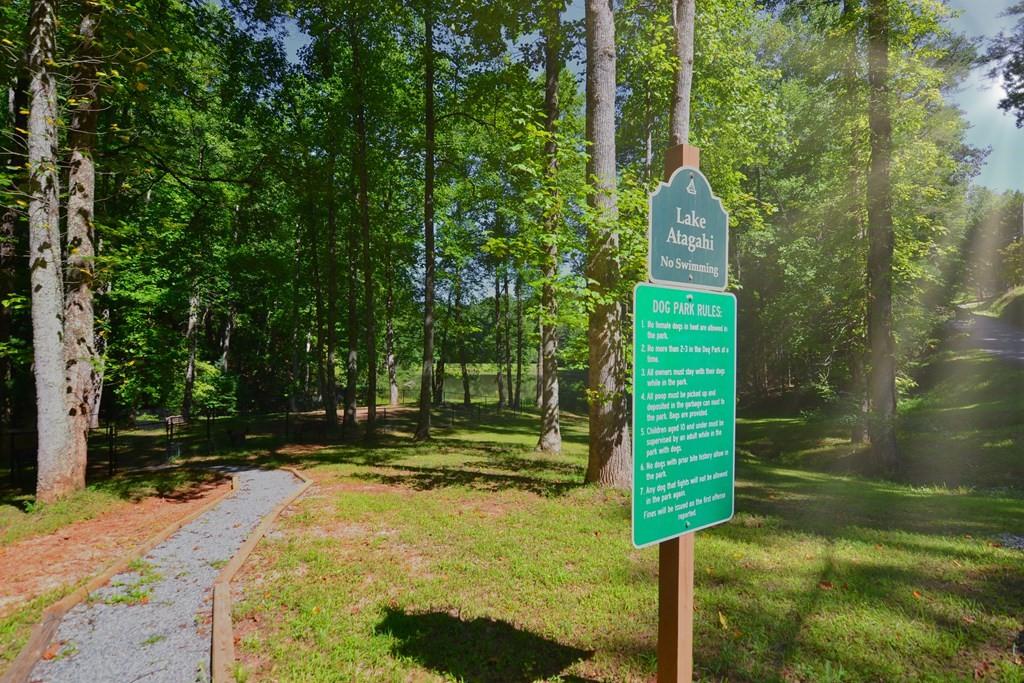 J349 Walnut Mountain, Ellijay, Georgia image 21