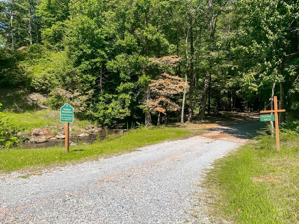 J349 Walnut Mountain, Ellijay, Georgia image 33