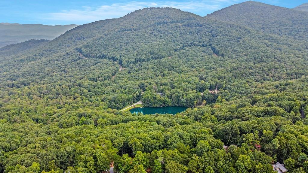 J349 Walnut Mountain, Ellijay, Georgia image 14