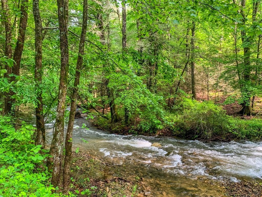 J349 Walnut Mountain, Ellijay, Georgia image 36