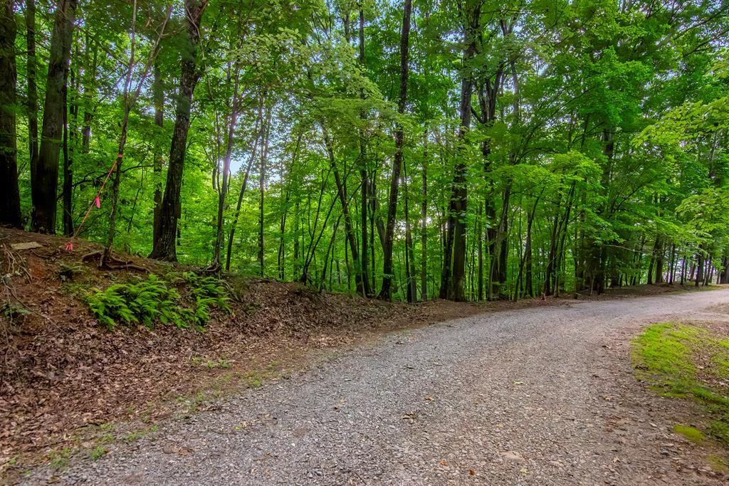J349 Walnut Mountain, Ellijay, Georgia image 2