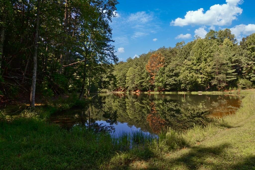 J349 Walnut Mountain, Ellijay, Georgia image 24