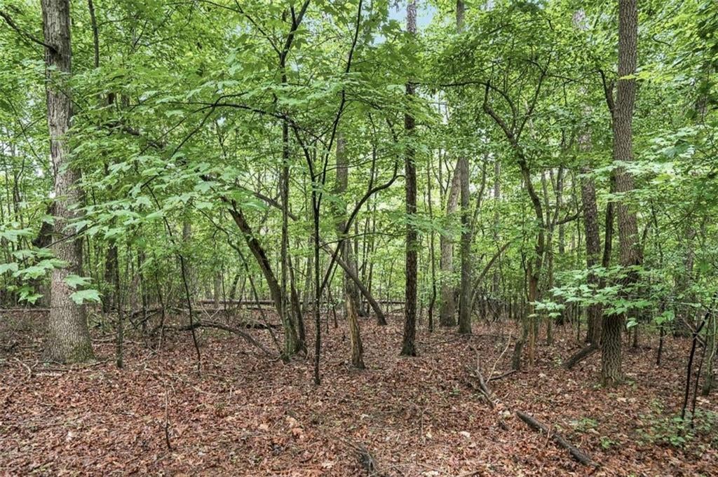 LOT 58 Red Bud Lane